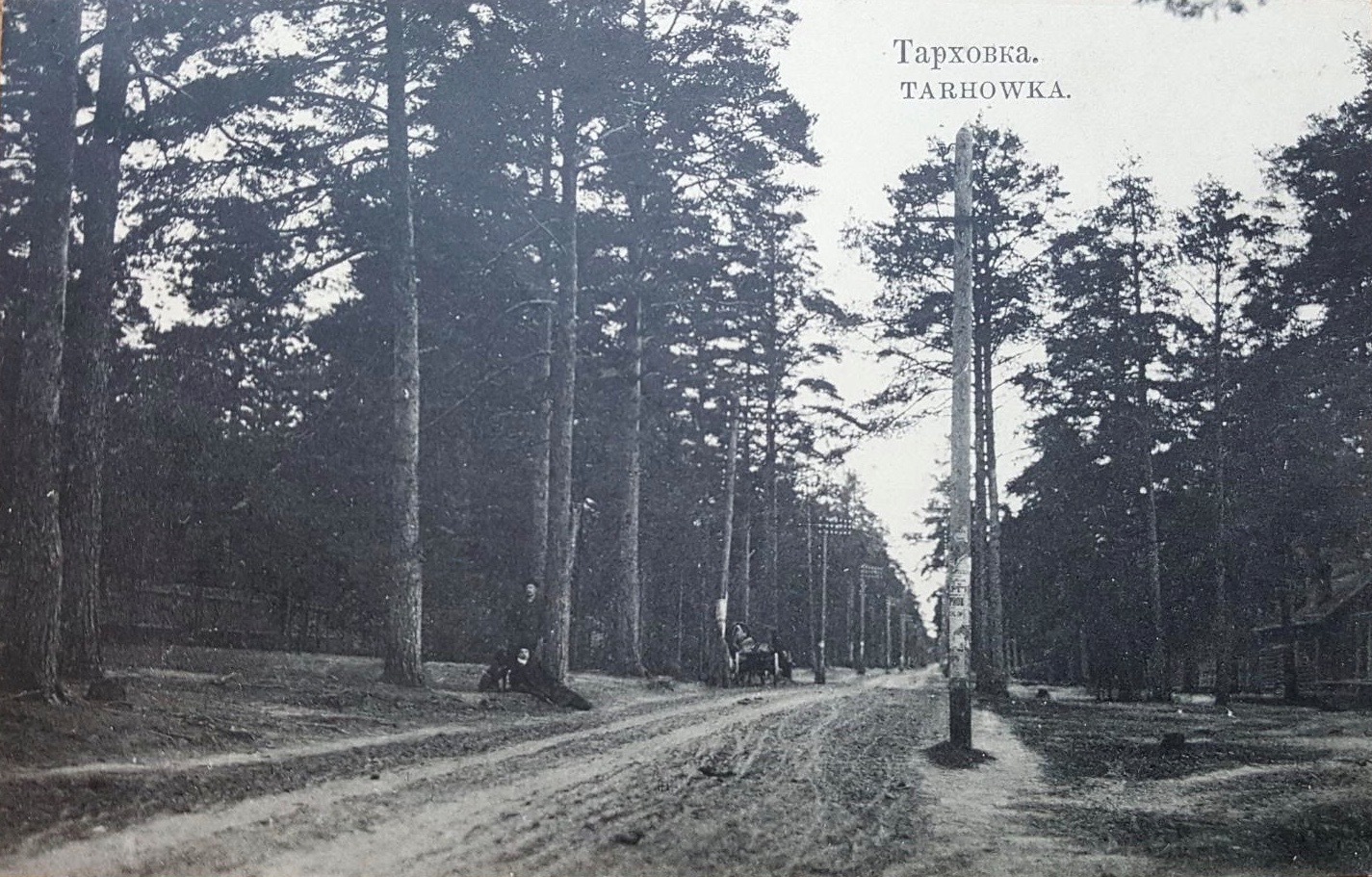 Тарховка.JPG
