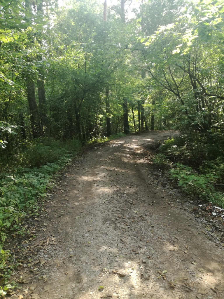 Дорога к Финскому заливу и дачи.