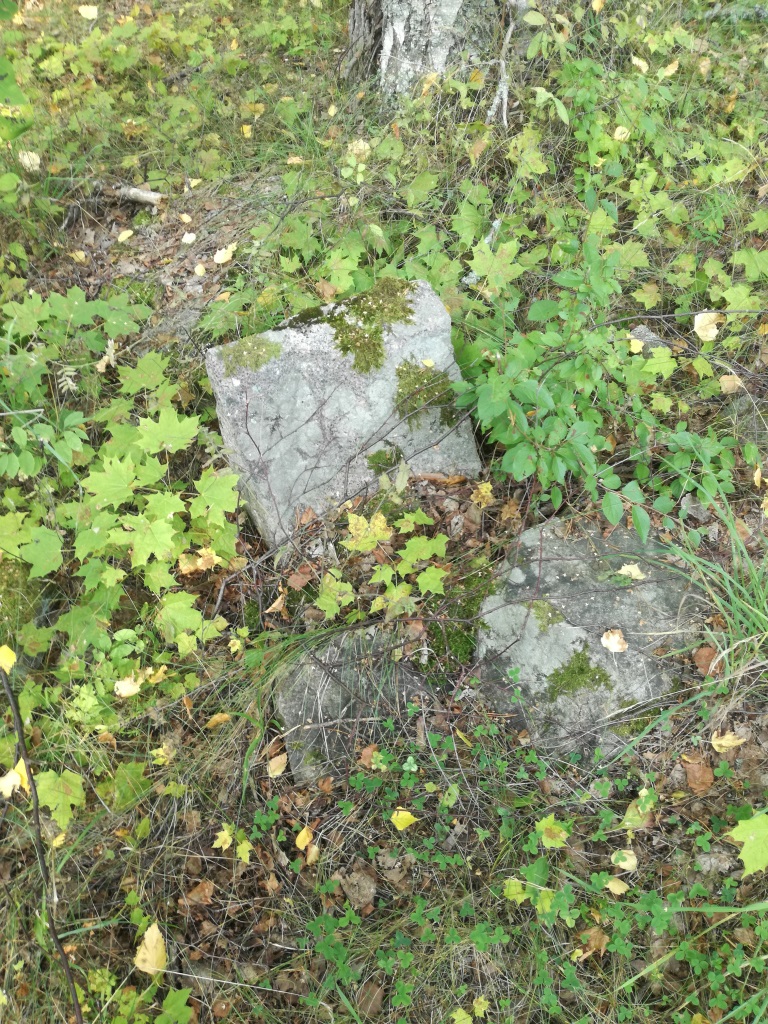 Тут был дом