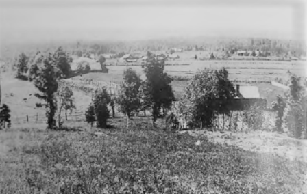 вид на Лемпияля с горы  от Кирьявалы 1912.png