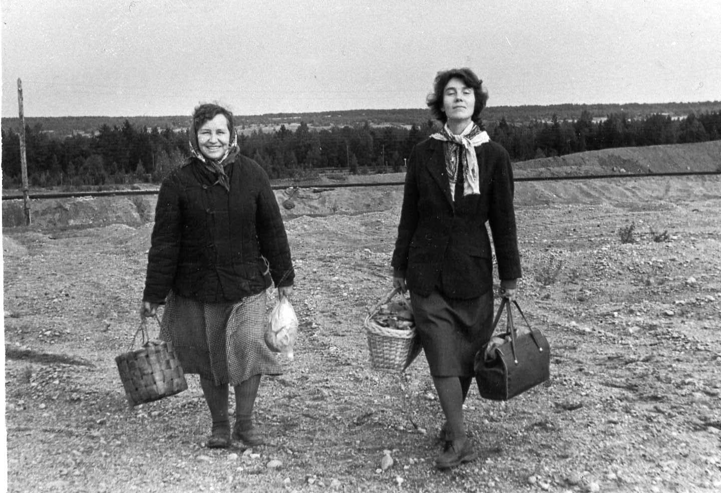 Тут была дача Матэ.