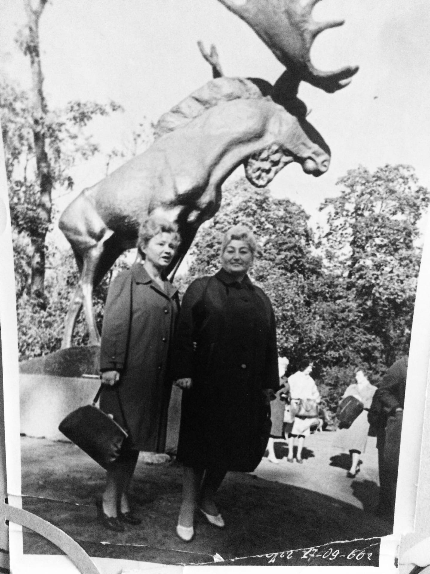 Утверждают, что Выборг.