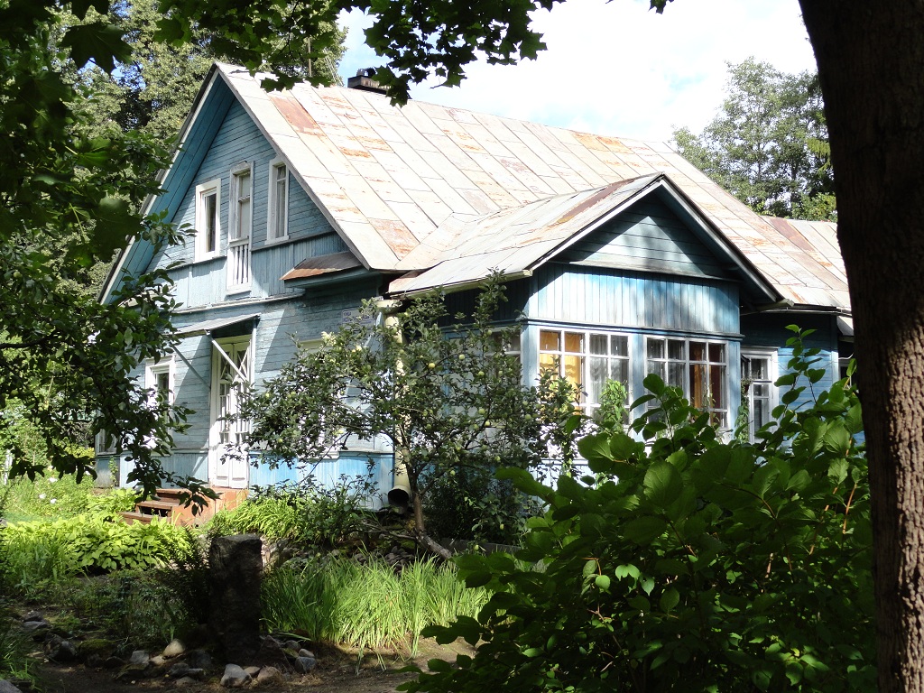 уч.12-30 Флейшман. дом и ограда (совр.Исполкомская 1) DSC07404.JPG