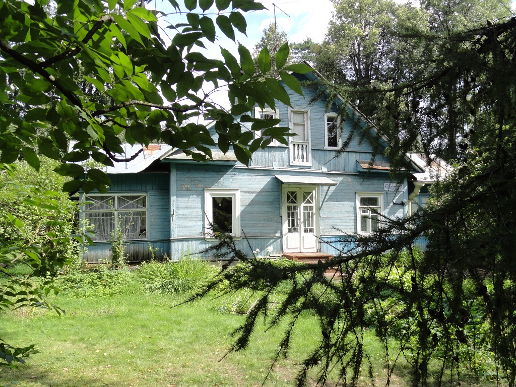 уч.12-30 Флейшман. дом и ограда (совр.Исполкомская 1) DSC07405.JPG