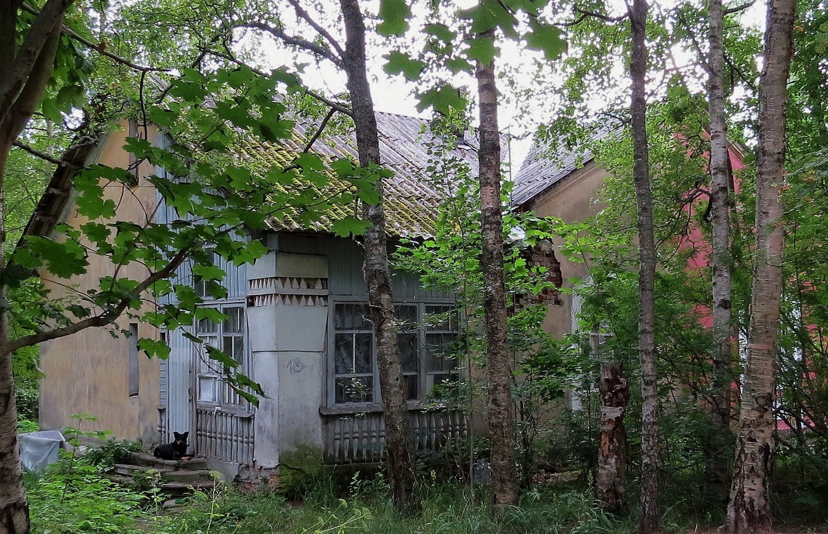 Песочная 10А photo_351-359722 - копия.jpg