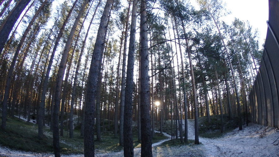 P1220190 Парк .JPG