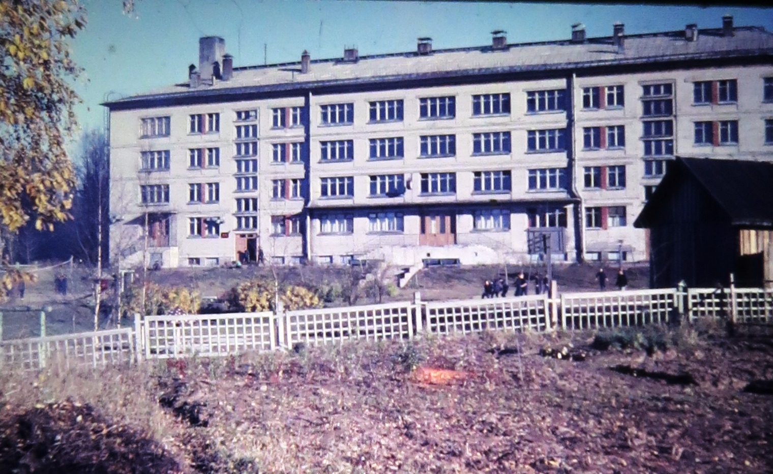 Случайно нашёл у себя.