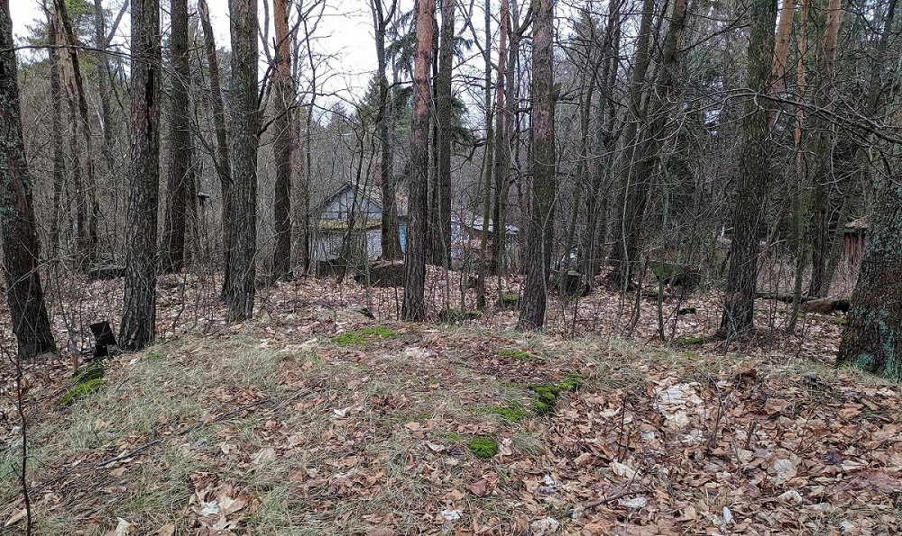 место виллы Врангеля IMG_20200304_122257.jpg