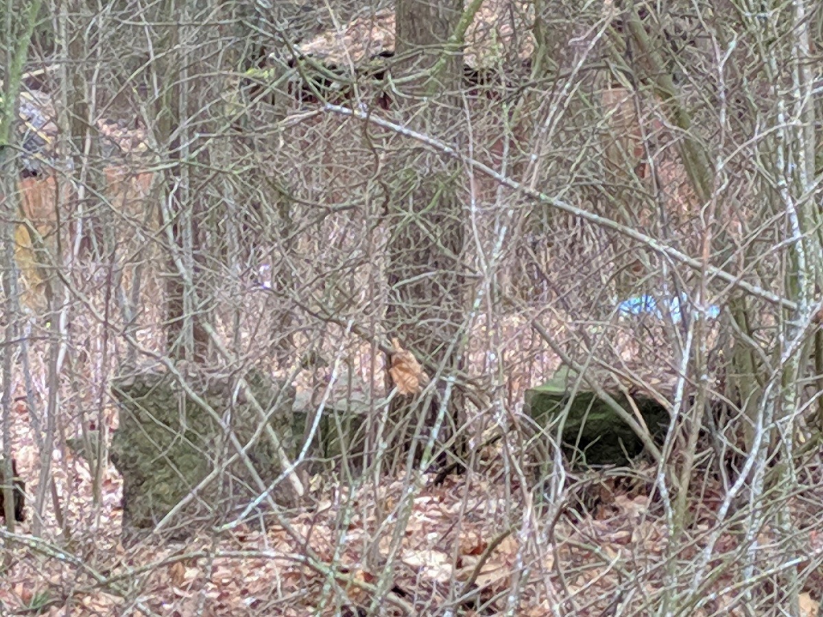 камни фундамента виллы Врангеля IMG_20200304_122344.jpg