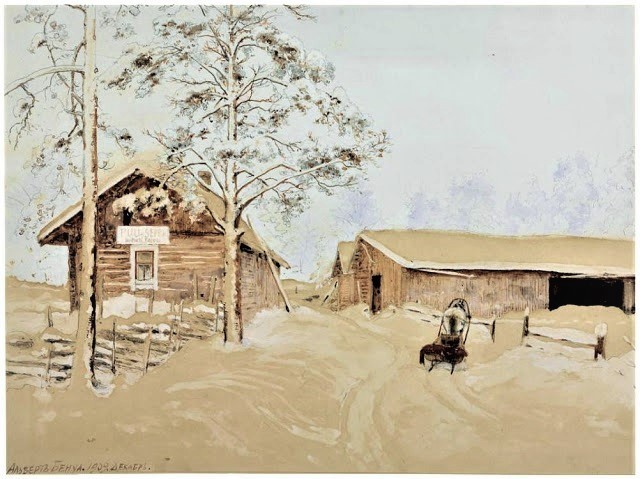 Finnish yard..JPG