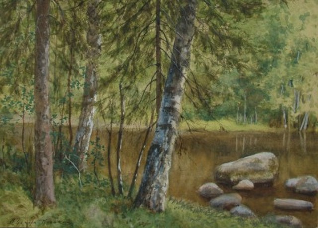 Березки.jpg