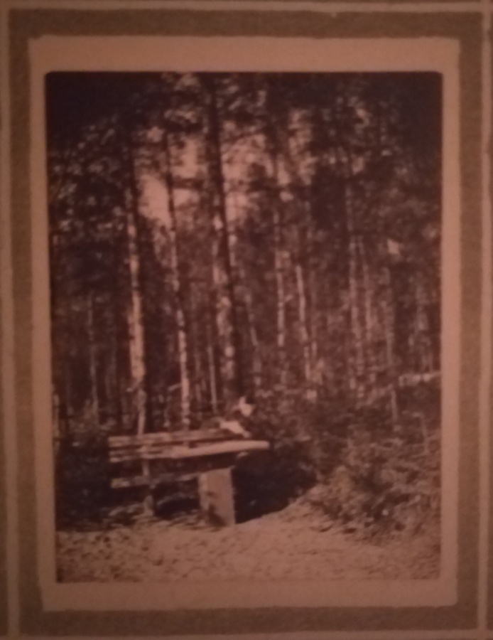 1.6 н Нина занимается - копия.jpg