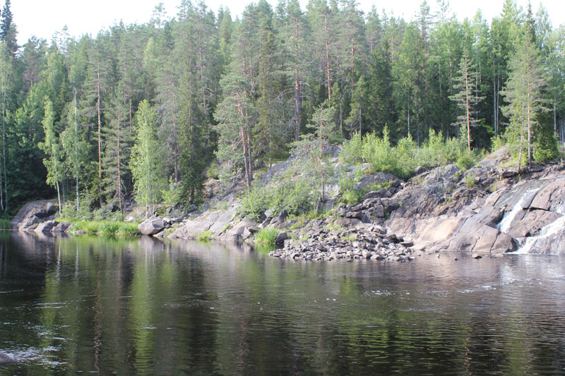 IMG_2615.jpg