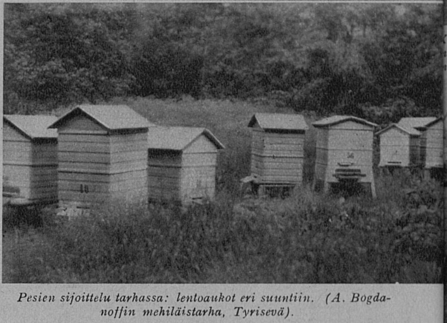 Oma-koti19304-no10-1.jpg
