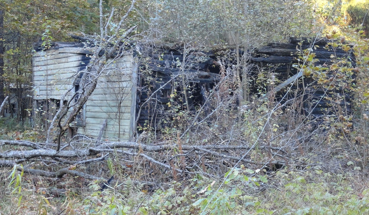 уч.Вёльца дом 9 2015 DSC04457.JPG