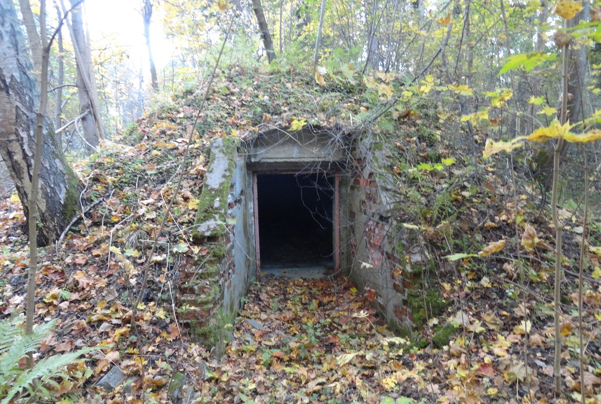 уч.Вёльца погреб 2015 DSC04454.JPG