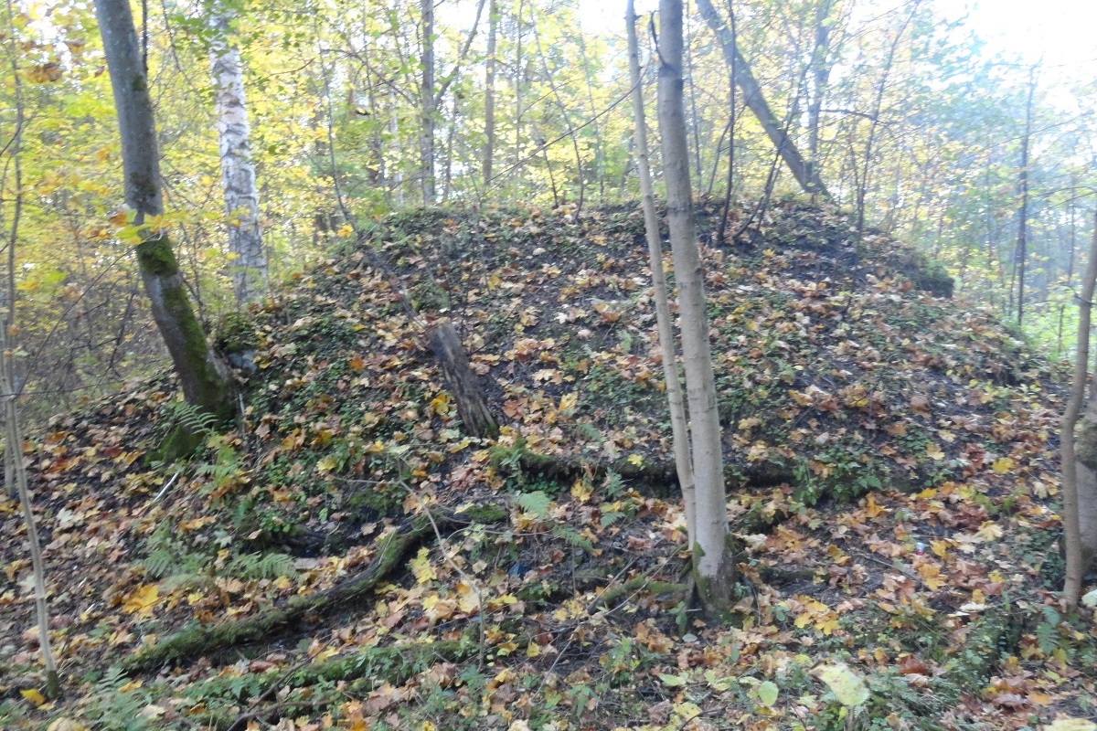 уч.Вёльца погреб 2015 DSC04455.JPG