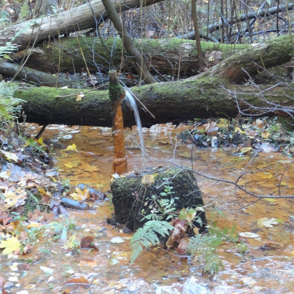 уч.Вёльца артезианская скважина 2015 DSC04456.JPG