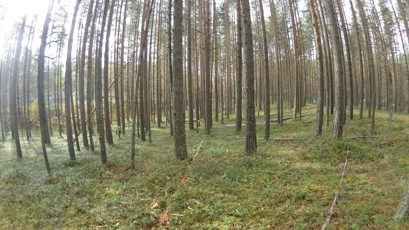 Вид с 19-20 уч..JPG