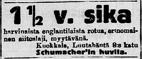 Джон А. Шумахер продажа породистой свиньи 1919.jpg