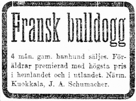 Джон Шумахер заводчик франц.бульдогов 1921 - копия.jpg
