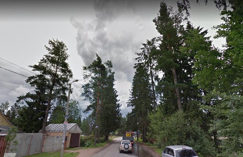 Пуллинен еловая ограда маг.Пимия №2.jpg