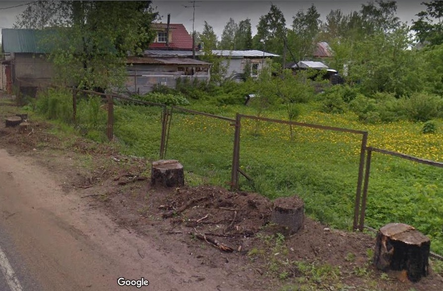 Пуллинен пни у маг.Пимия №2.jpg