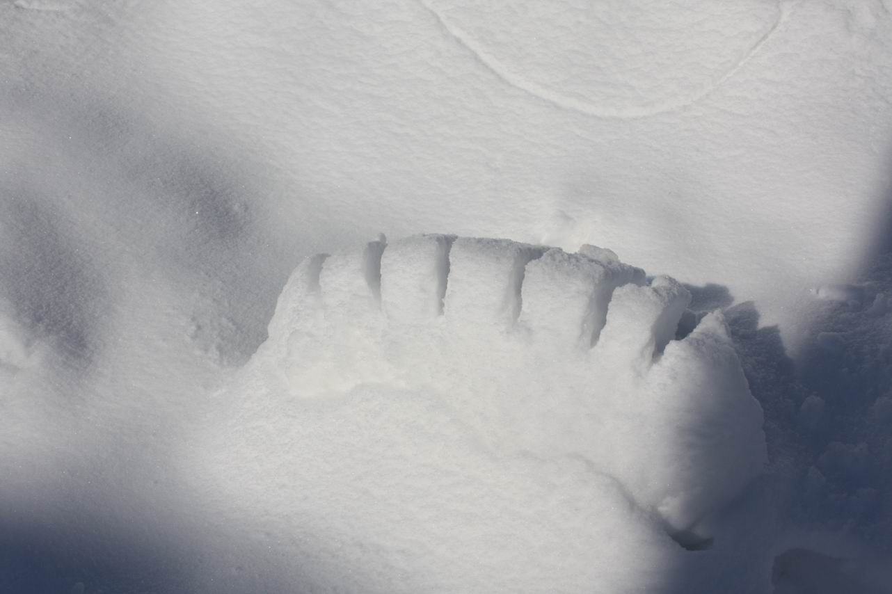 Resize of IMG_9743.JPG