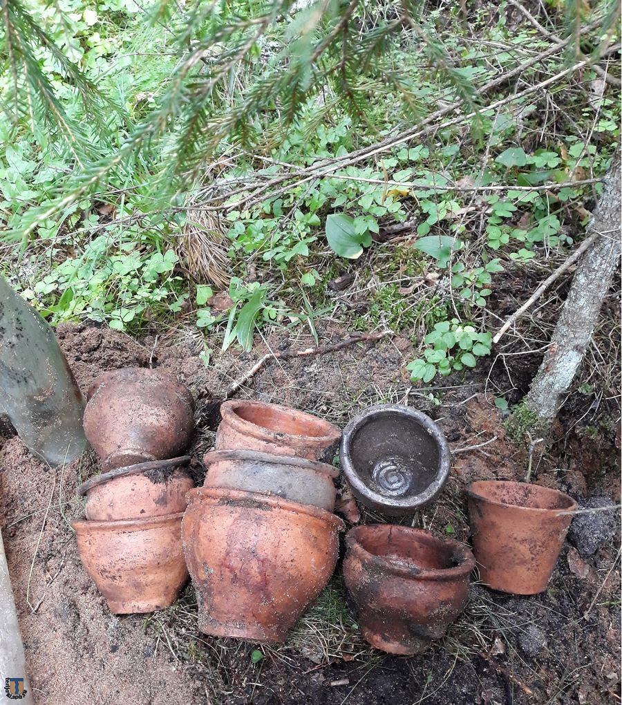 pots.jpg