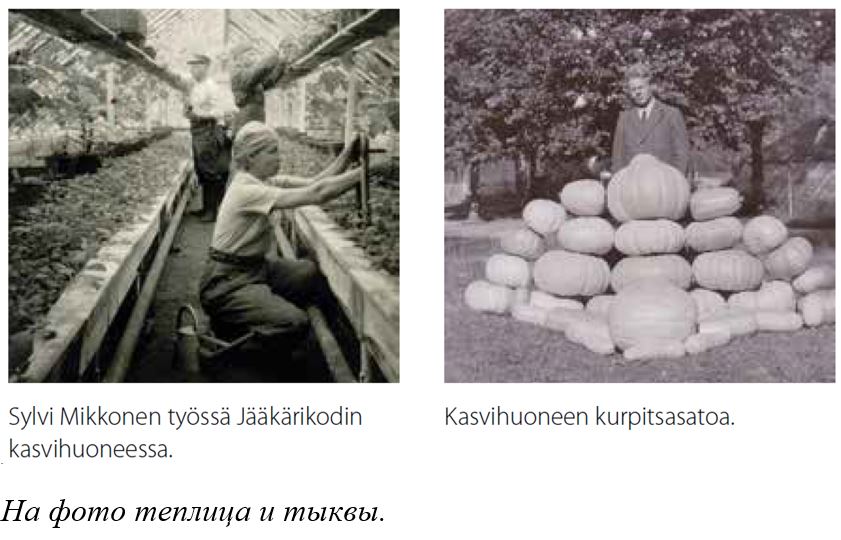 Фото 7 Теплица и тыквы.JPG