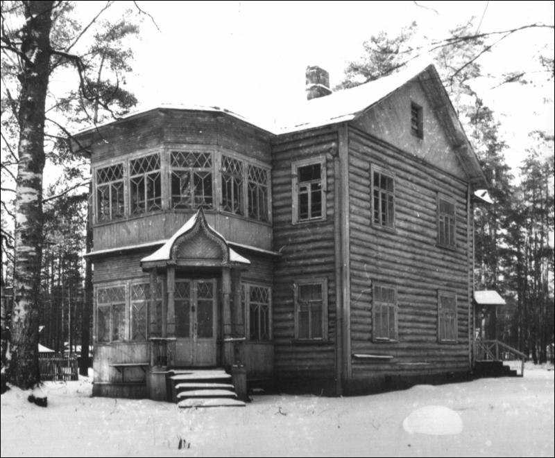 393 дача Чечулиных 1995.jpg