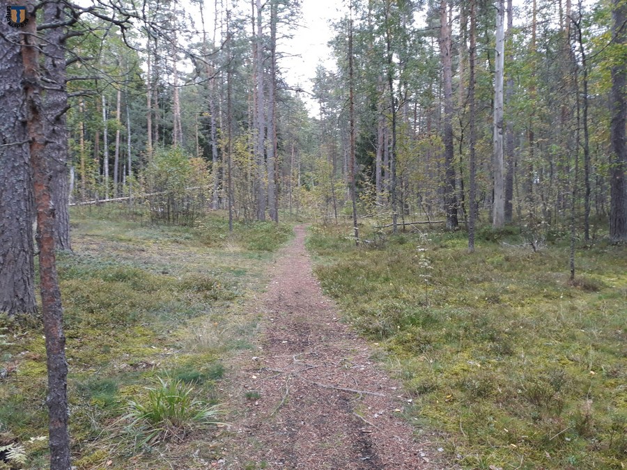 7-28 дорога от поворота.jpg