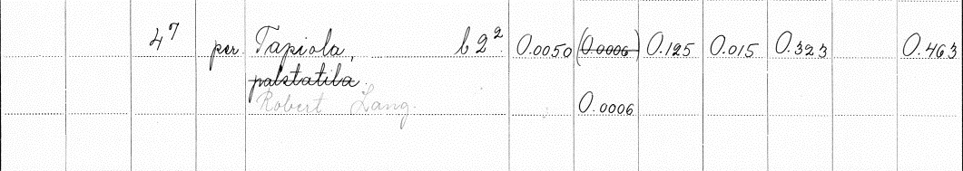 Кирьявала 4-7 Ланг.jpg