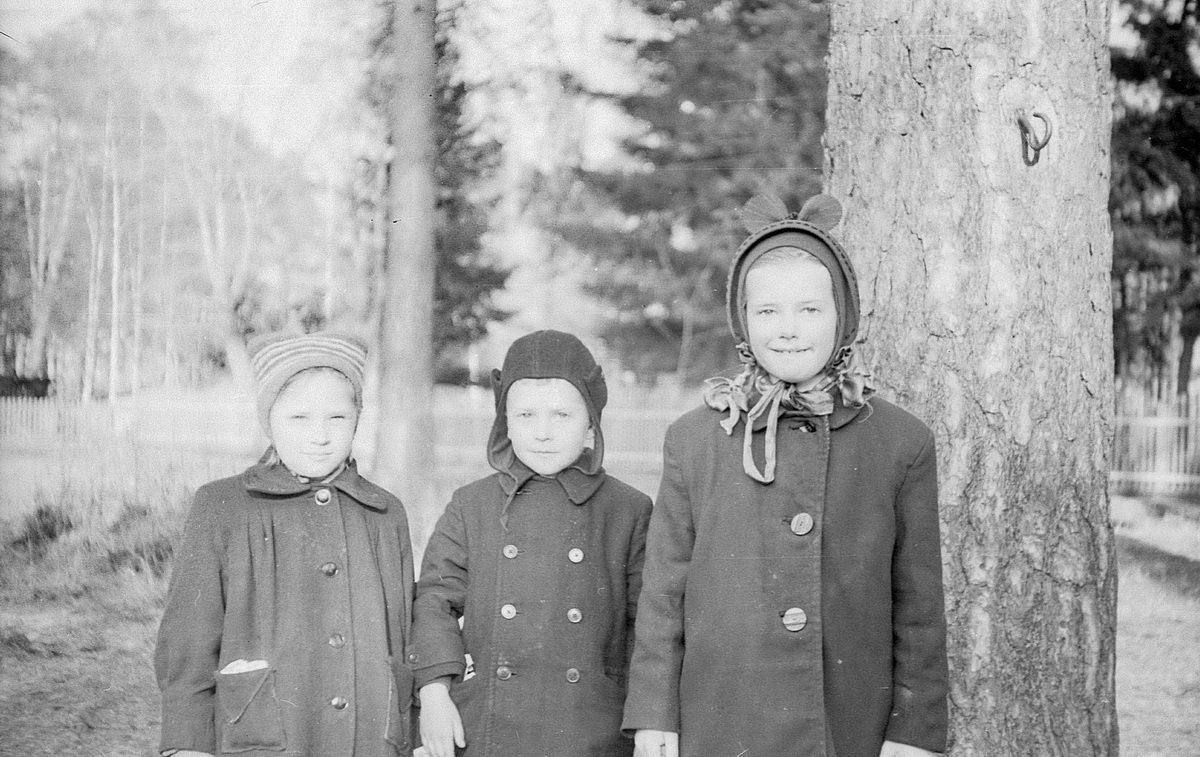 Image0001+++++_новый размер.JPG