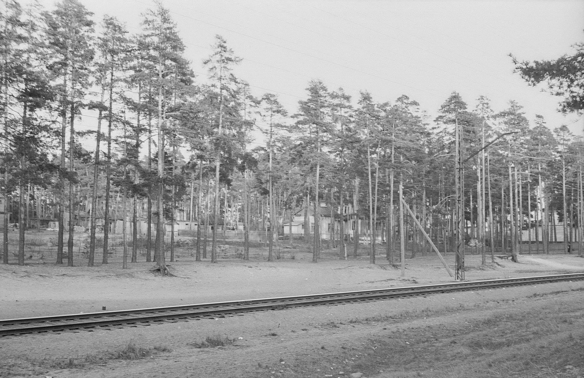 Image0002+_новый размер.JPG