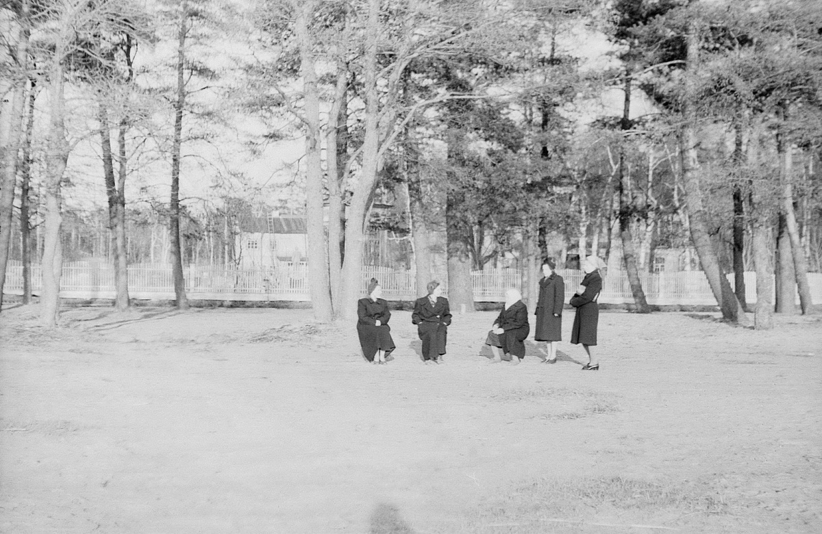 Image0003+_новый размер.JPG