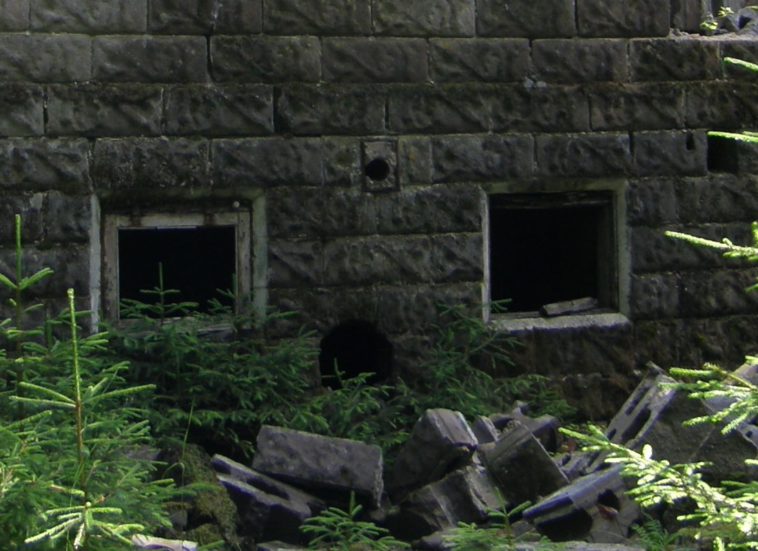 термолитовый камень.jpg