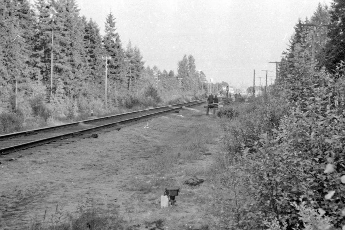 Рощино63 (0).JPG