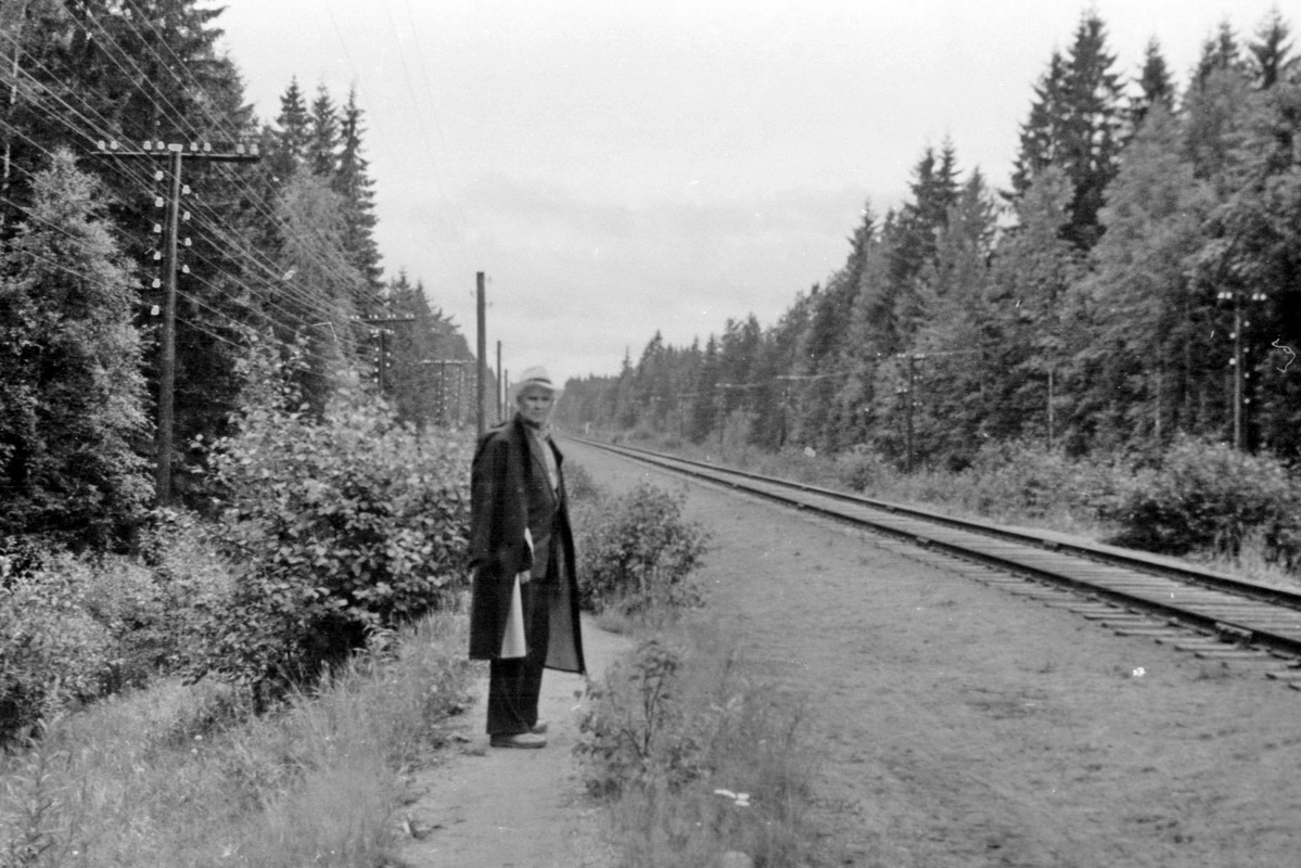 Рощино63 (1).JPG