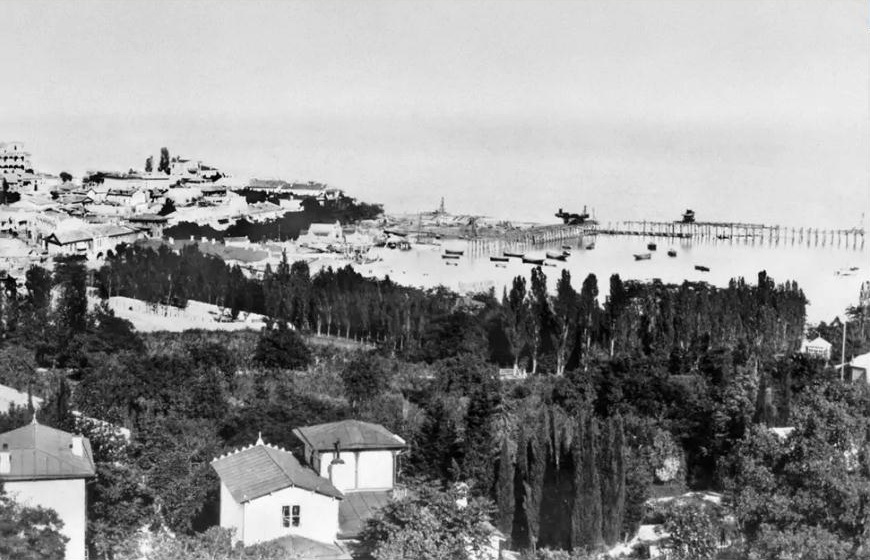 имение Желтышевых 1889 внизу снимка.jpg