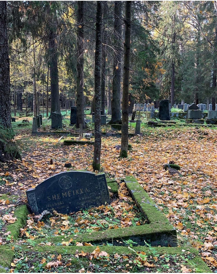 Schemeikka-01.jpg