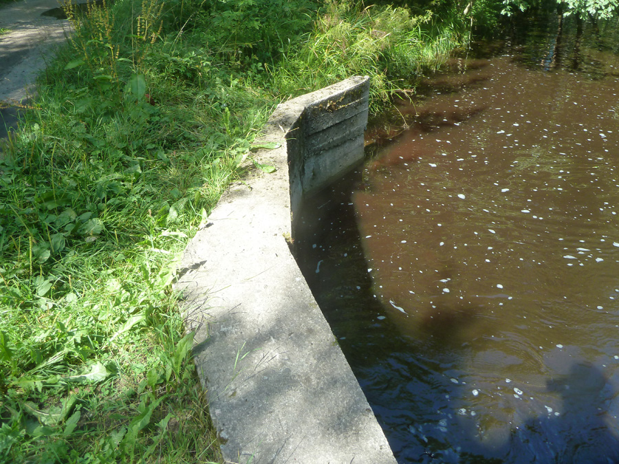lohioja-1.jpg
