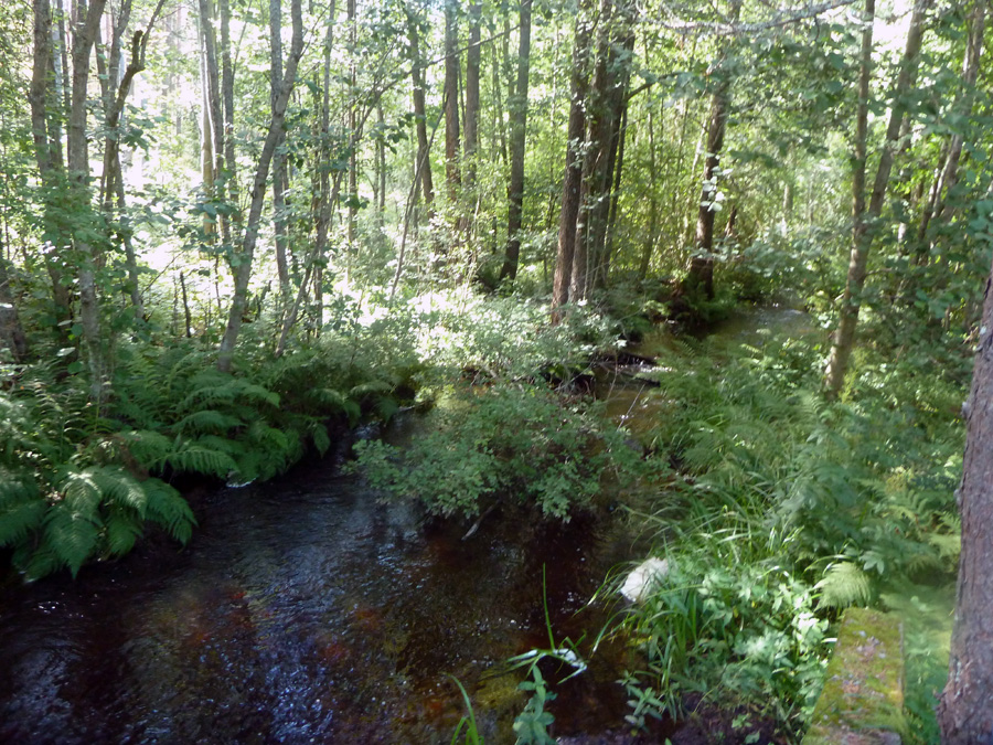 lohioja-1-2.jpg