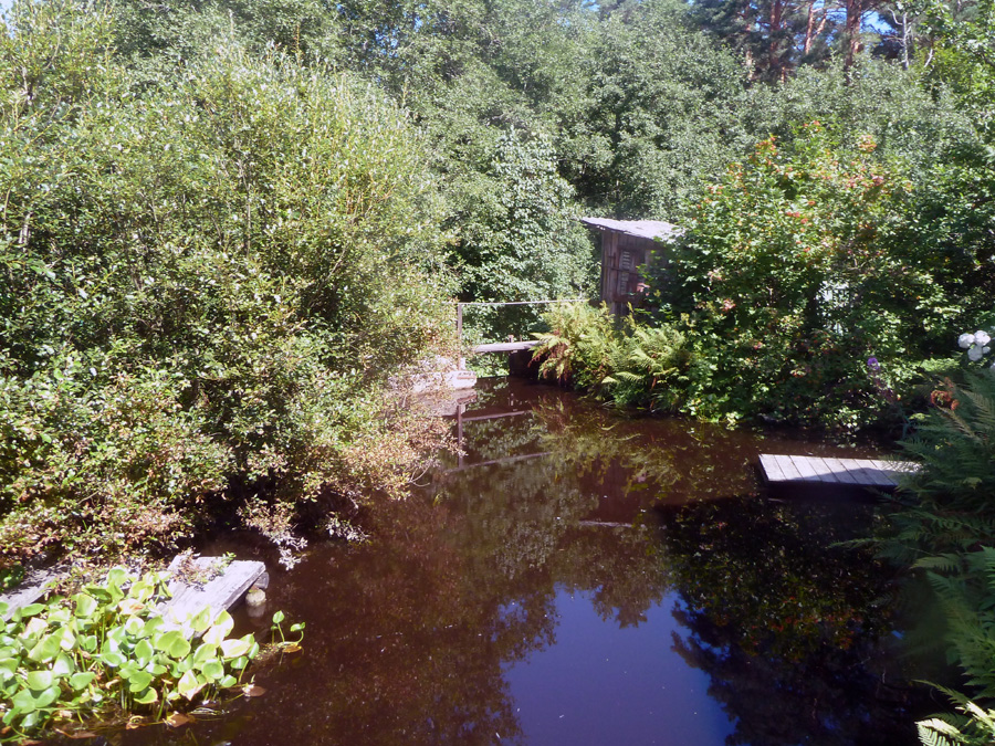 lohioja-2.jpg