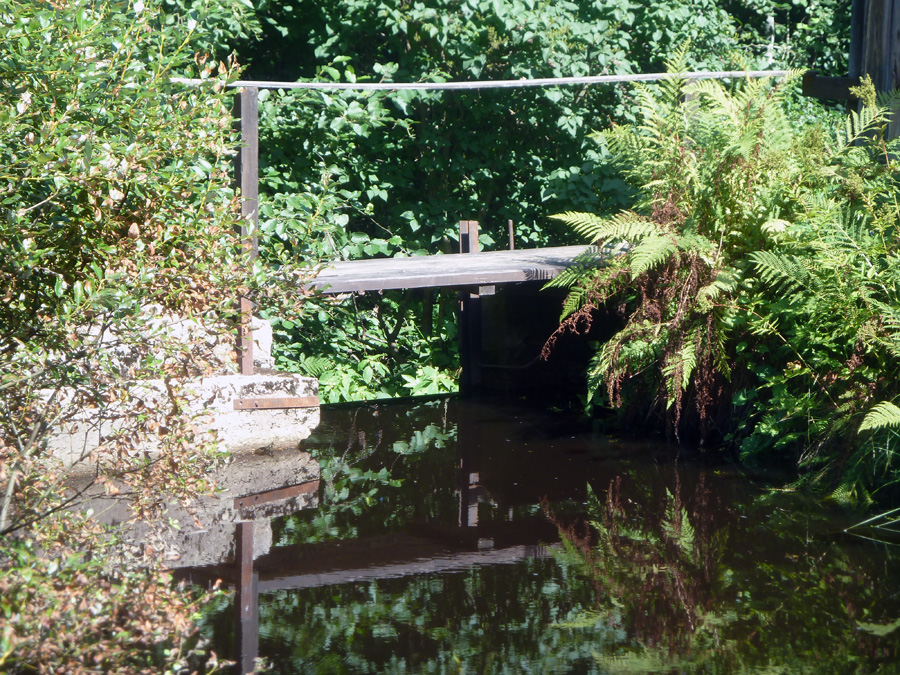 lohioja-2-1.jpg