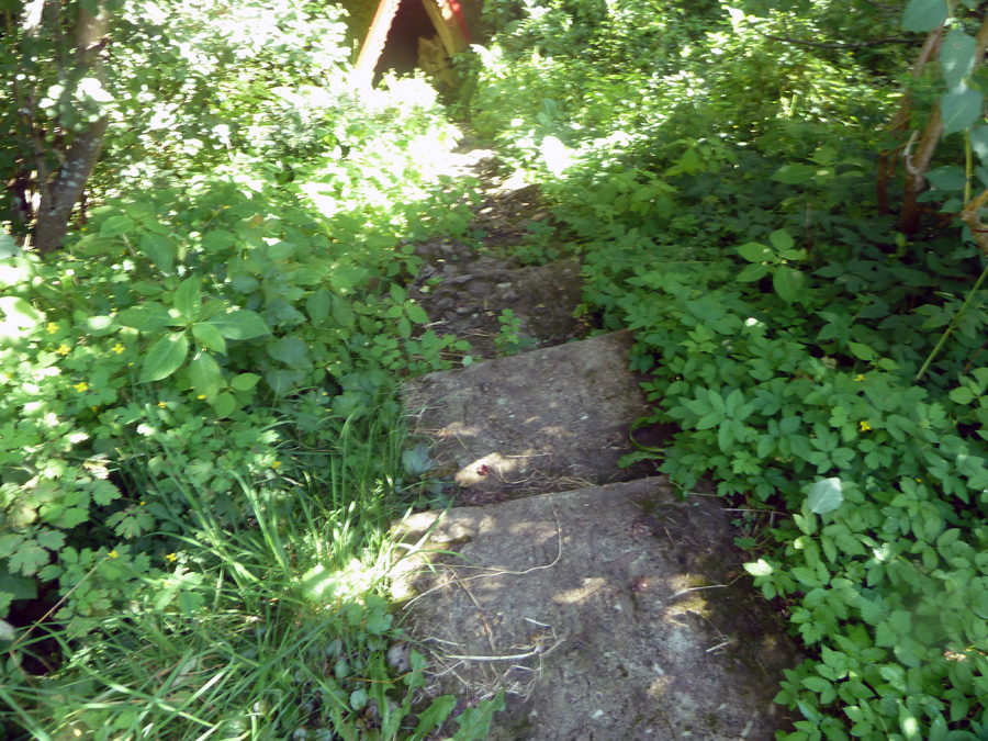 lohioja-3-3.jpg