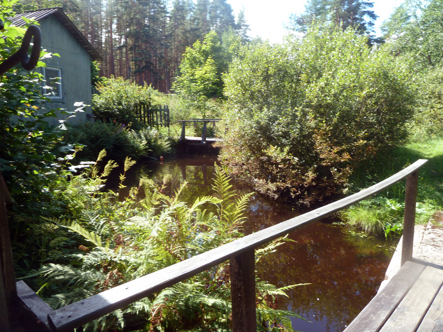 lohioja-4.jpg