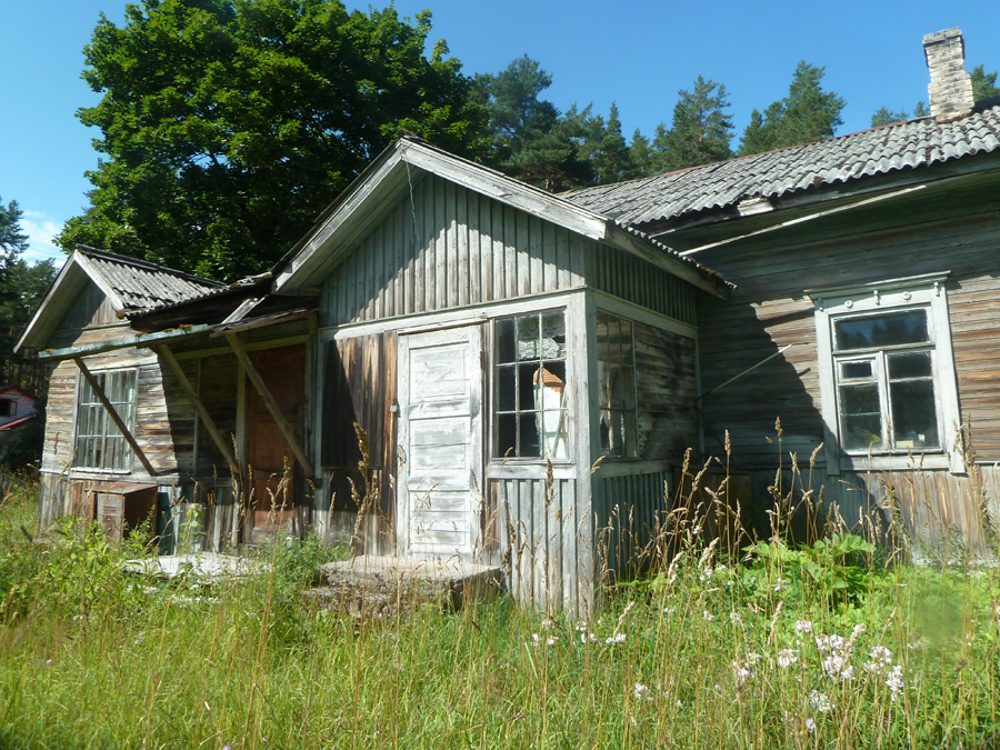 lohioja-5-1.jpg