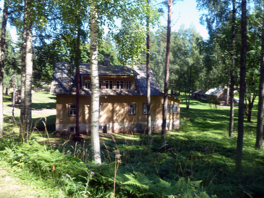 lohioja-6.jpg