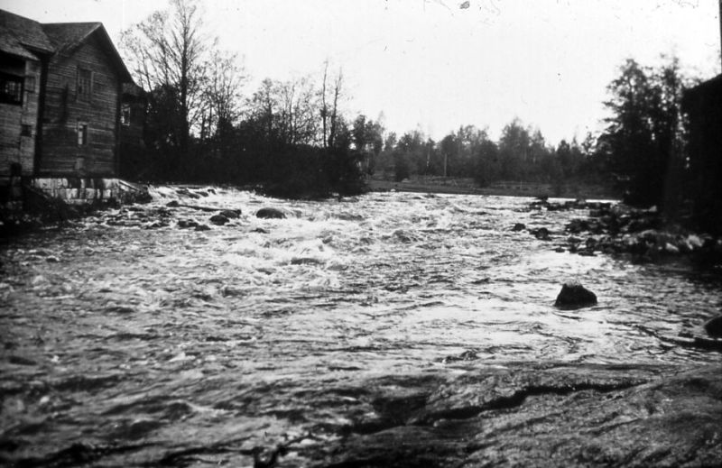 rs02544.jpg